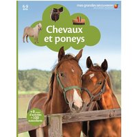 Chevaux et poneys