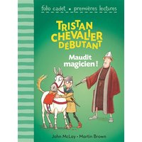 Tristan, chevalier débutant. Vol. 2. Maudit magicien !