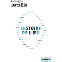 Histoire de l'oeil