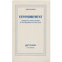 Effondrement : comment les sociétés décident de leur disparition ou de leur survie