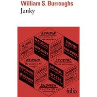 Junky - Le texte définitif de "Junk"