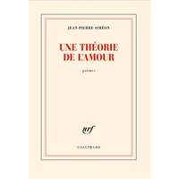 Une théorie de l'amour : poèmes