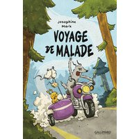 Voyage de malade