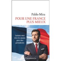 Pour une France plus mieux : laissez-moi être le moins pire des présidents