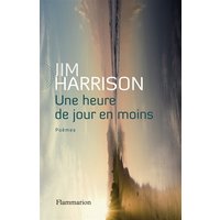 Une heure de jour en moins : poèmes choisis, 1965-2010