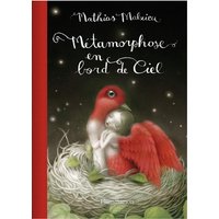 Métamorphose en bord de ciel