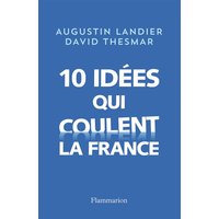 Dix idées qui coulent la France