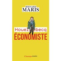 Houellebecq économiste