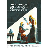 5 histoires d'amour et de chevalerie
