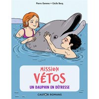 Mission vétos. Un dauphin en détresse
