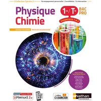 Physique chimie 1re-terminale groupements 1 et 2, bac pro : nouveaux programmes, réforme de la voie professionnelle
