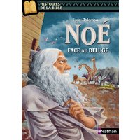 Noé : face au Déluge