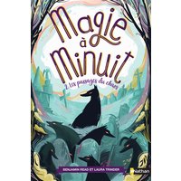 Magie à minuit. Vol. 2. Les passages du chaos