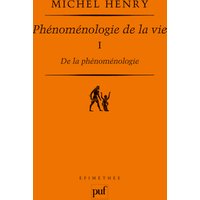 De la phénoménologie - Phénoménologie de la vie. Tome I