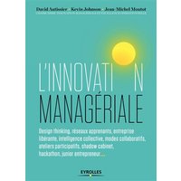 L'innovation managériale : design thinking, réseaux apprenants, entreprise libérante, intelligence collective, modes collaboratifs, ateliers participatifs, shadow cabinet, hackathon, junior entrepreneur...