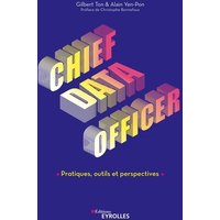 Chief data officer : pratiques, outils et perspectives