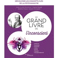 Le grand livre de l'inconscient : découvrir les concepts clés de la psychanalyse : fantasme, perversion, projection, pulsion, surmoi, transfert, transgénérationnel
