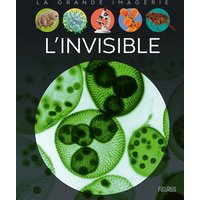 L'invisible