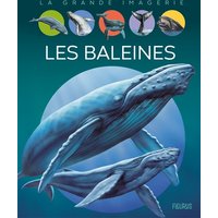 Les baleines