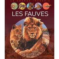 Les fauves