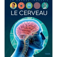 Le cerveau
