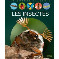 Les insectes