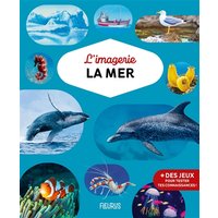 L'imagerie - La mer