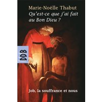 Qu'est-ce que j'ai fait au bon Dieu ? : Job, la souffrance et nous