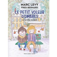 Le petit voleur d'ombres. Vol. 3. Le terrible incident
