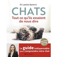 Chats : tout ce qu'ils essaient de nous dire