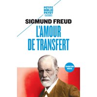 L'amour de transfert : et autres essais sur le transfert et le contre-transfert