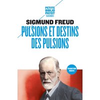 Pulsions et destins des pulsions