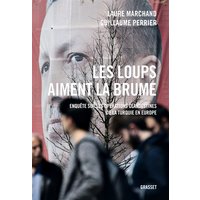 Les loups aiment la brume : enquête sur les opérations clandestines de la Turquie en Europe