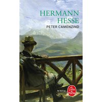 Peter Camenzind : récit