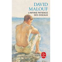 L'infinie patience des oiseaux