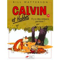 Calvin et Hobbes. Vol. 20. Il y a des trésors partout !