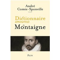 Dictionnaire amoureux de Montaigne