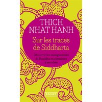 Sur les traces de Siddharta : découvrir les enseignements du Bouddha en cheminant à ses côtés