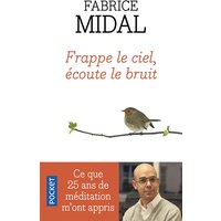 Frappe le ciel, écoute le bruit : ce que vingt-cinq ans de méditation m'ont appris