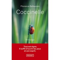Coccinelle : récit