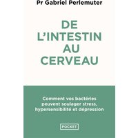 De l'intestin au cerveau : comment vos bactéries peuvent soulager stress, hypersensibilité et dépression