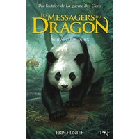 Les messagers du dragon : cycle 1. Vol. 1. Sauvés des eaux
