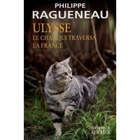 Ulysse, le chat qui traversa la France - Récit