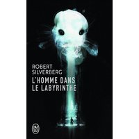 L'homme dans le labyrinthe