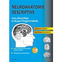 Neuroanatomie descriptive : cours, atlas pratique et clés pour l'imagerie médicale