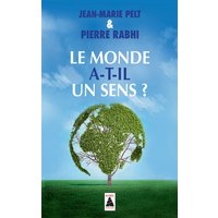 Le monde a-t-il un sens ? : essai