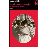 Les cahiers noirs de l'aliéniste. Vol. 1. Dans le quartier des agités