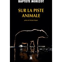 Sur la piste animale