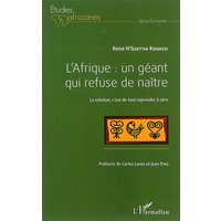 L'Afrique : un géant qui refuse de naître : la solution, c'est de tout reprendre à zéro