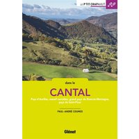 Dans le Cantal : pays d'Aurillac, massif cantalien, grand pays de Riom-ès-Montagne, pays de Saint-Flour